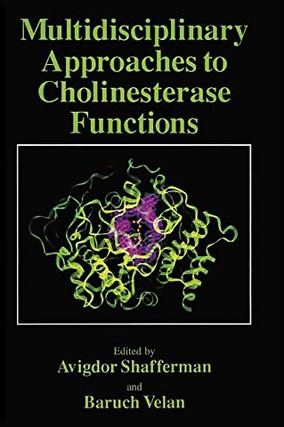 Multidisciplinary Approaches to Cholinesterase Functions