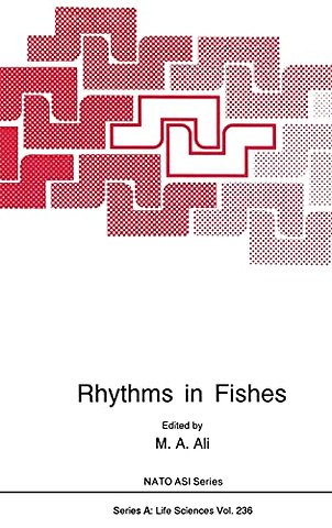 Rhythms in Fishes