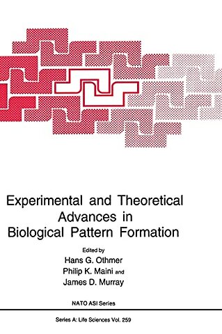 Experimental and Theoretical Advances in Biological Pattern Formation