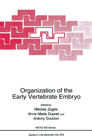 Organization of the Early Vertebrate Embryo