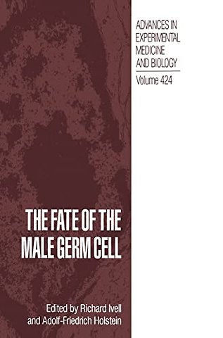 The Fate of the Male Germ Cell