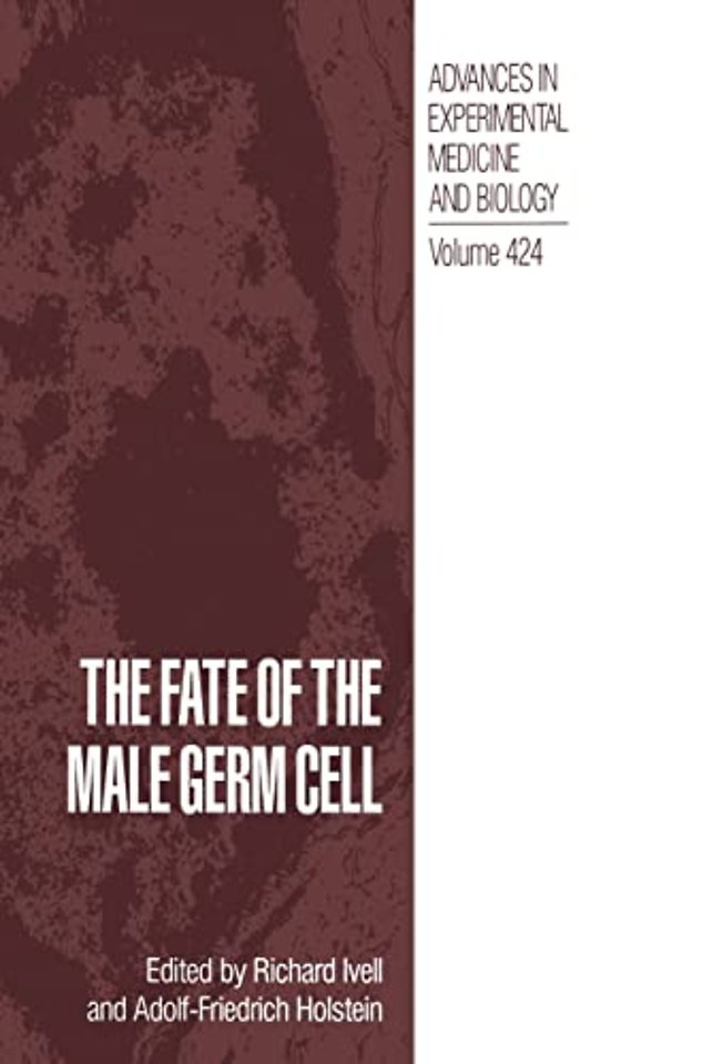 The Fate of the Male Germ Cell