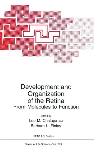 Development and Organization of the Retina
