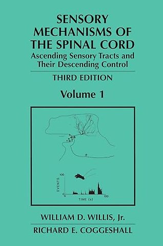 Sensory Mechanisms of the Spinal Cord