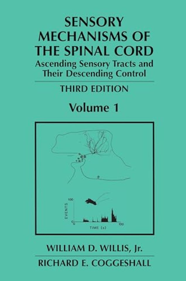 Sensory Mechanisms of the Spinal Cord