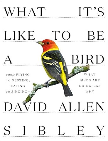 What It's Like to be a Bird