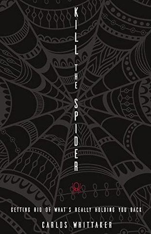 Kill the Spider