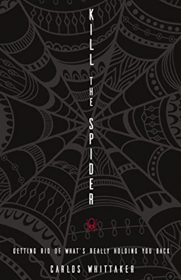 Kill the Spider