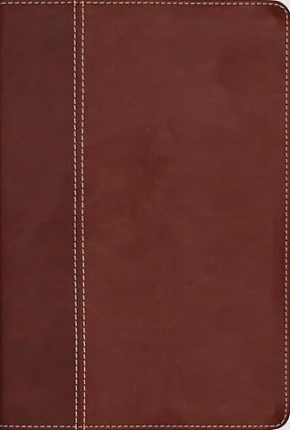 NIV, Cultural Backgrounds Study Bible (Context Changes Everything), Leathersoft, Brown, Red Letter
