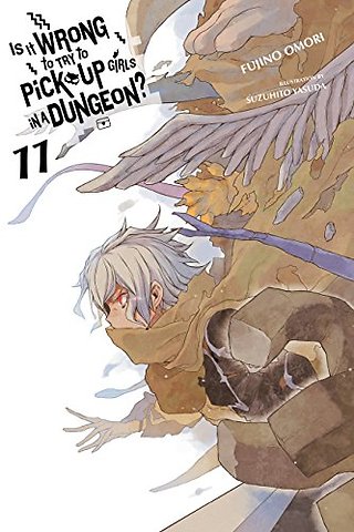 Is It Wrong to Try to Pick Up Girls in a Dungeon?, Vol. 11 (light novel)