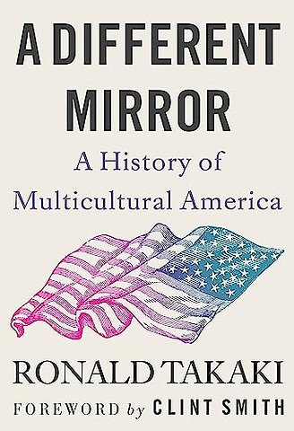 A Different Mirror