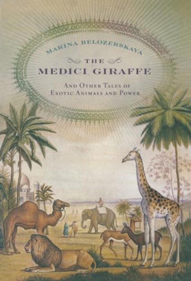 The Medici Giraffe
