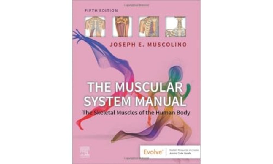The Muscular System Manual