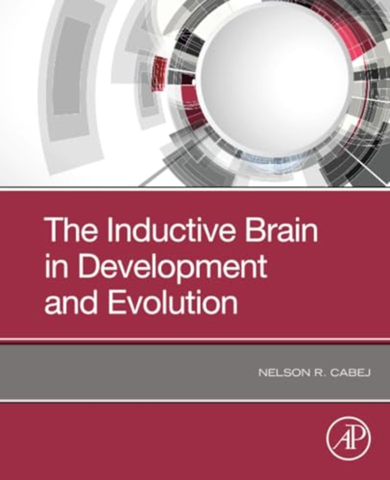 The Inductive Brain in Development and Evolution