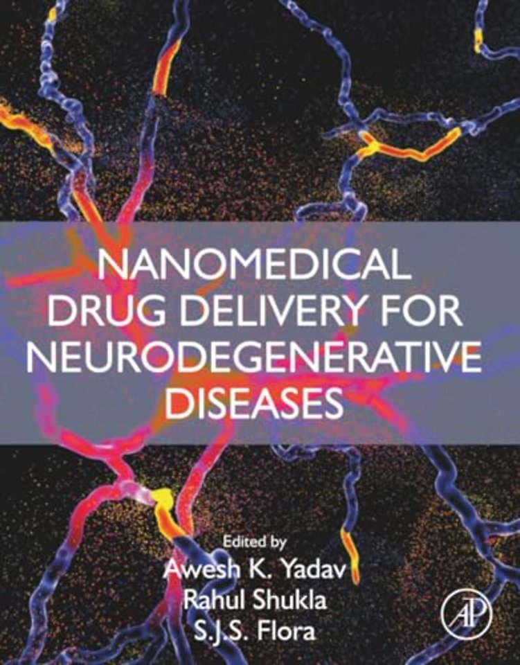Nanomedical Drug Delivery for Neurodegenerative Diseases