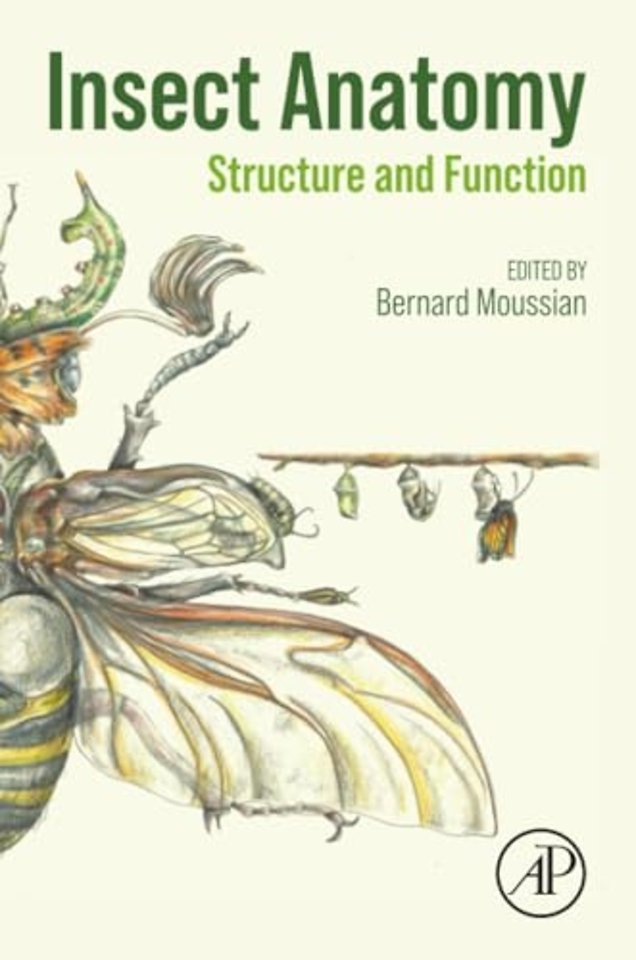 Insect Anatomy