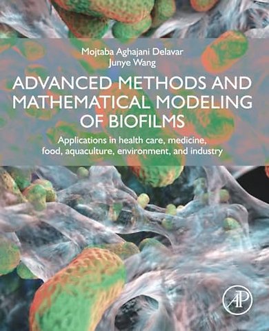 Advanced Methods and Mathematical Modeling of Biofilms