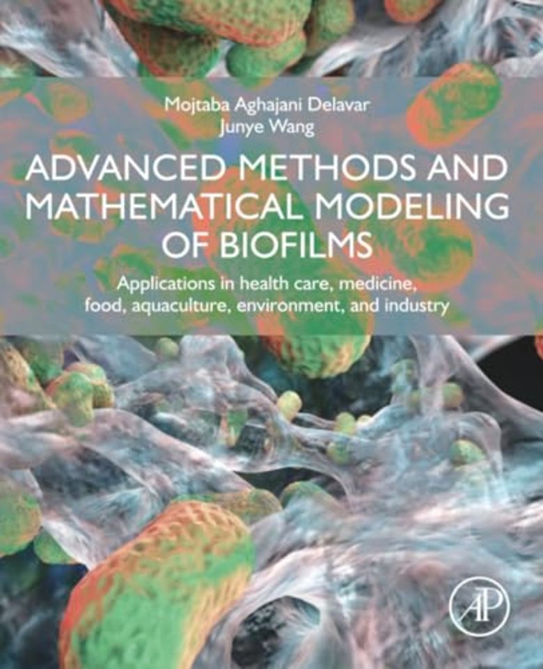 Advanced Methods and Mathematical Modeling of Biofilms