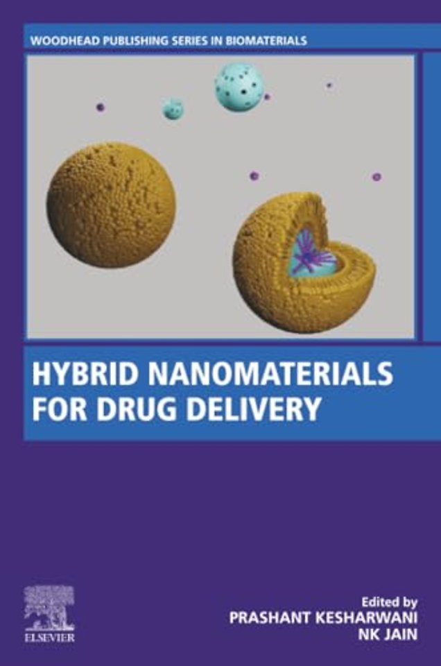 Hybrid Nanomaterials for Drug Delivery