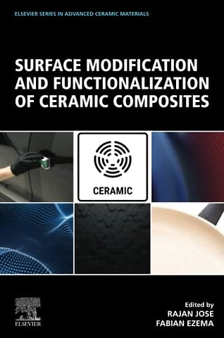 Surface Modification and Functionalization of Ceramic Composites