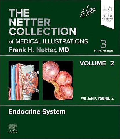 The Netter Collection of Medical Illustrations: Endocrine System, Volume 2