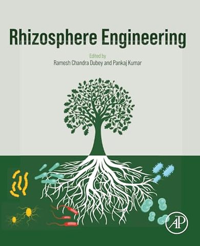 Rhizosphere Engineering