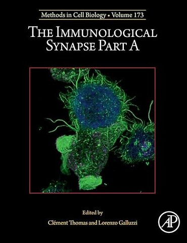 The Immunological Synapse Part A