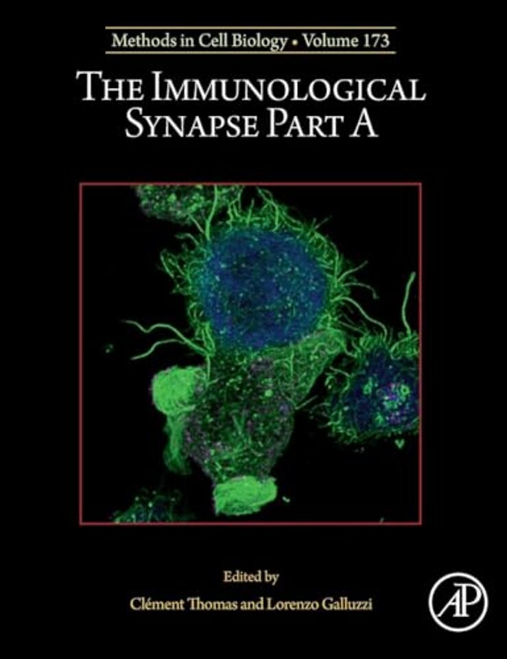 The Immunological Synapse Part A