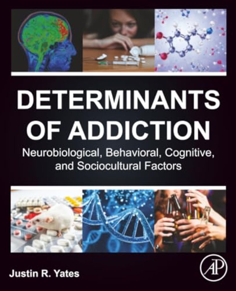 Determinants of Addiction