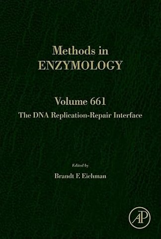 The DNA Replication-Repair Interface