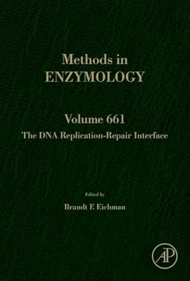 The DNA Replication-Repair Interface