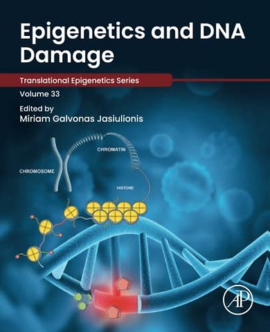 Epigenetics and DNA Damage