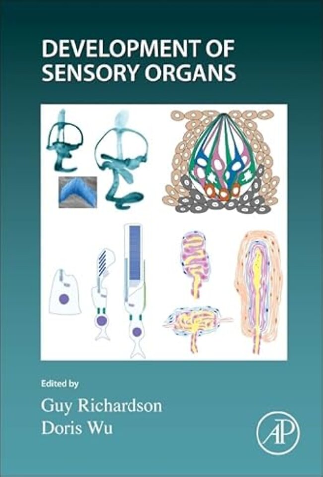 Development of Sensory Organs