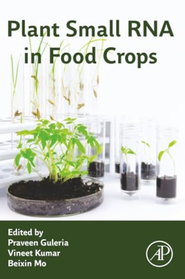 Plant Small RNA in Food Crops