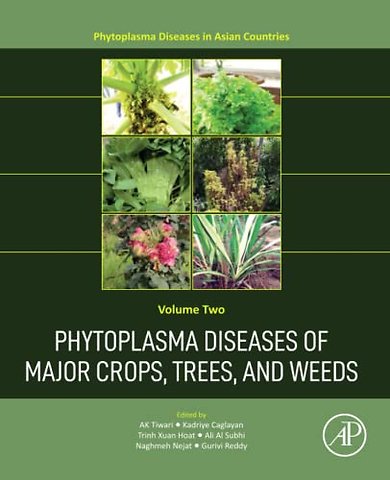 Phytoplasma Diseases of Major Crops, Trees, and Weeds