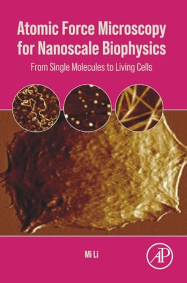 Atomic Force Microscopy for Nanoscale Biophysics