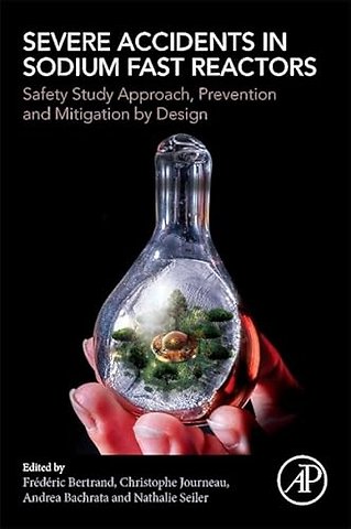 Severe Accidents in Sodium Fast Reactors