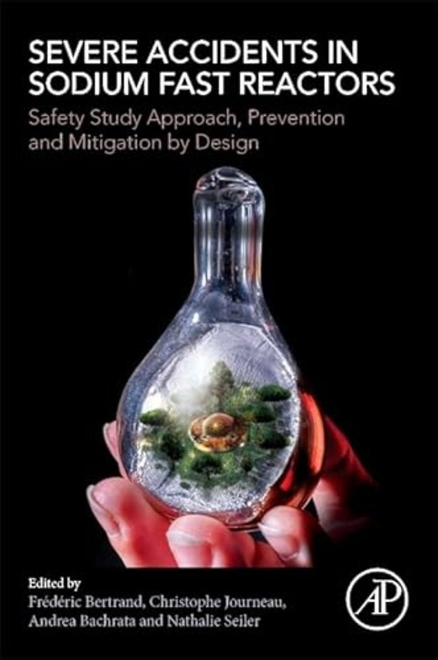 Severe Accidents in Sodium Fast Reactors