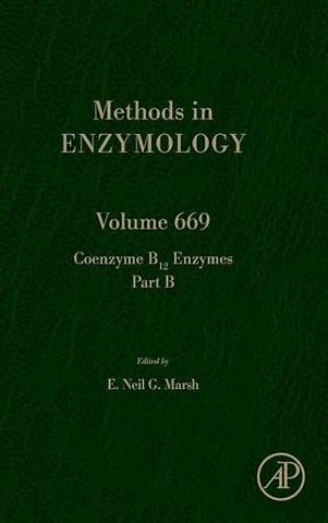Coenzyme B12 Enzymes Part B