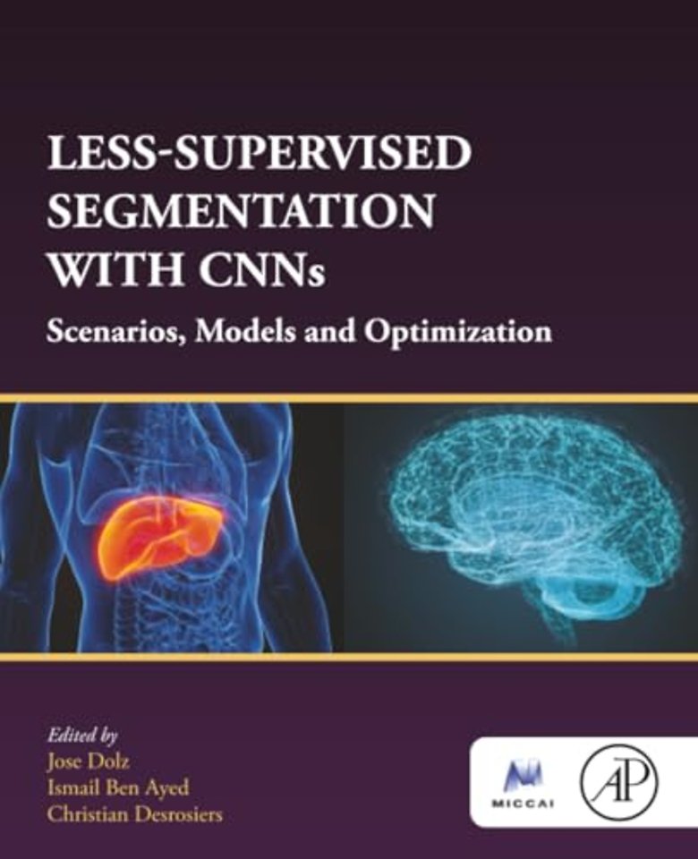 Less-Supervised Segmentation with CNNs