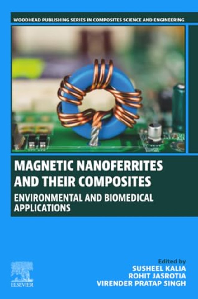 Magnetic Nanoferrites and their Composites