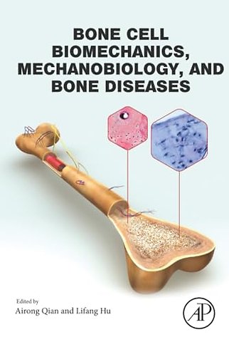 Bone Cell Biomechanics, Mechanobiology and Bone Diseases