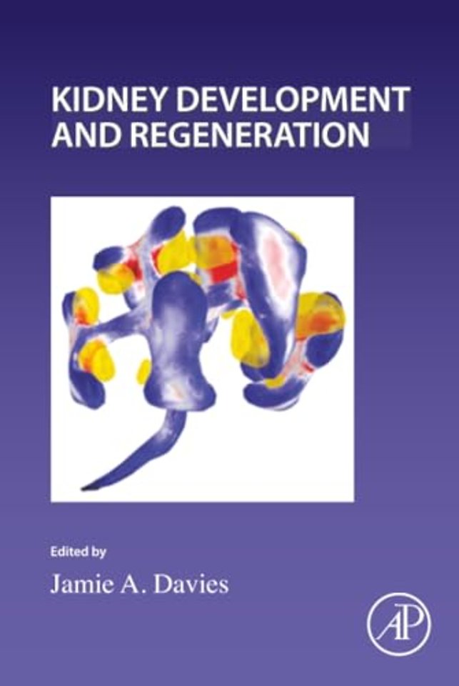 Kidney Development and Regeneration