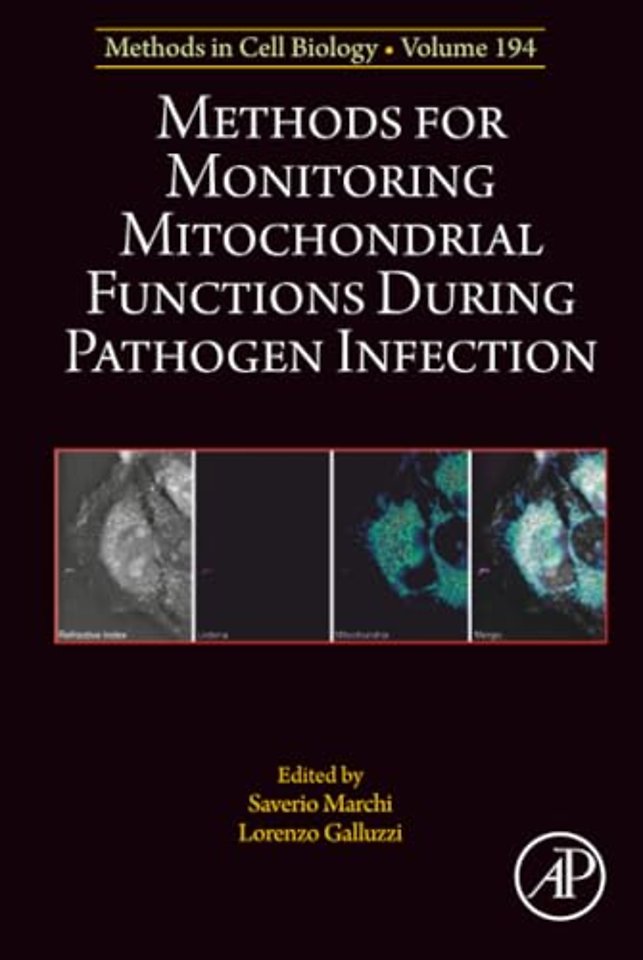 Methods for Monitoring Mitochondrial Functions During Pathogen Infection