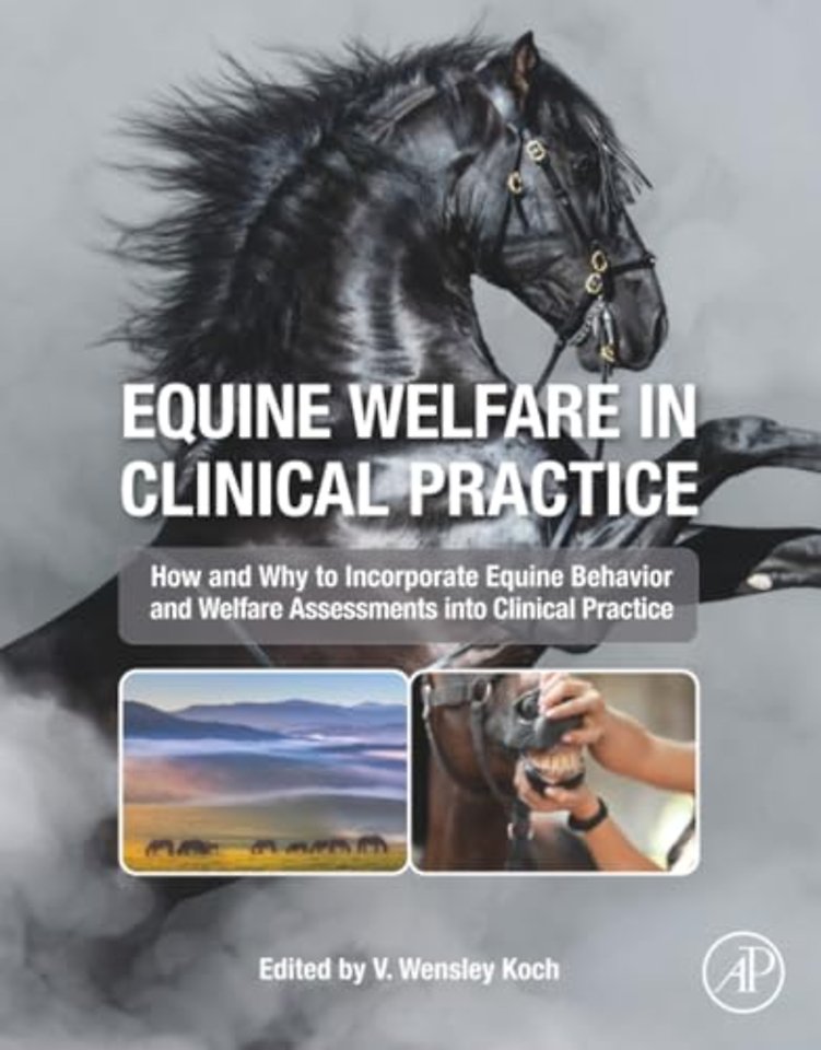 Equine Welfare in Clinical Practice