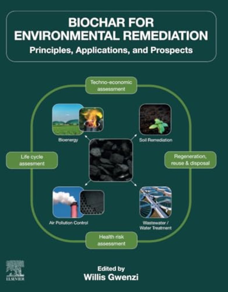 Biochar for Environmental Remediation