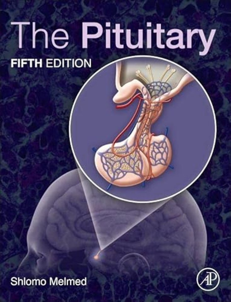 The Pituitary