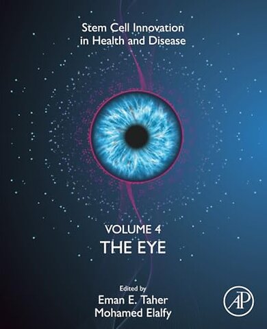 The Eye