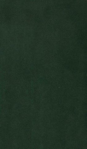 International Trade Theory in a Developing World