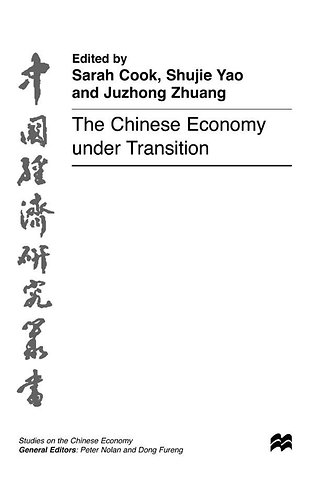 The Chinese Economy under Transition